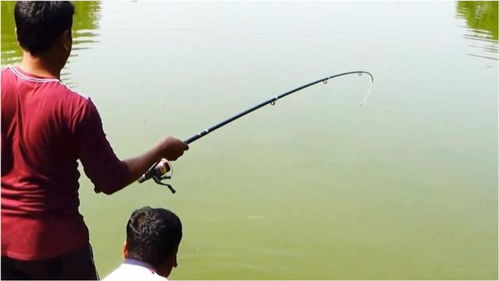 釣魚 倆人一個大釣臺,海竿隨便扔,這樣的黑坑還挺合理