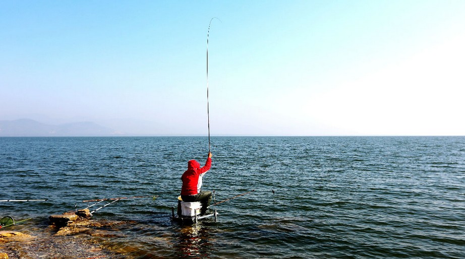 初夏水庫釣魚技巧分享-