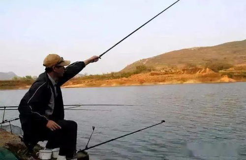 冬季到荒廢池塘垂釣,值得參考的經驗