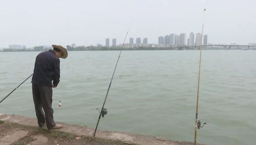 惠州 江邊垂釣亂象愈演愈烈,群眾頗多怨言