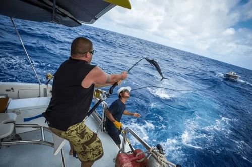 富力 公元山 用美好假期,致最好的我們