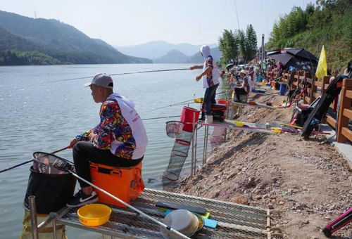 魚(yú) 你有約 今天,全國(guó)郊野釣魚(yú)大賽在建甌開(kāi)賽