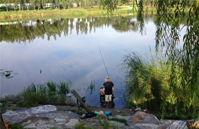 秋季野外垂釣,要想魚獲爆護,餌料一定要用對