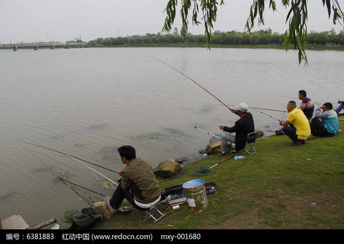休閑垂釣生活高清圖片下載 紅動網