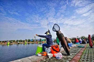 【賽事服務】2019年“全能王”全國釣魚錦標賽(江蘇太倉站)選拔賽魚情及指定用餌、推薦配方公示