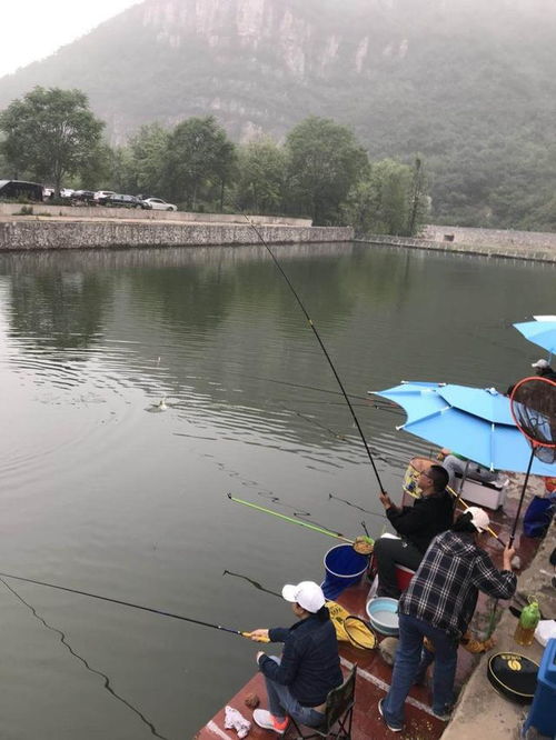 周年慶 釣魚之家會員pk賽,精彩呈現