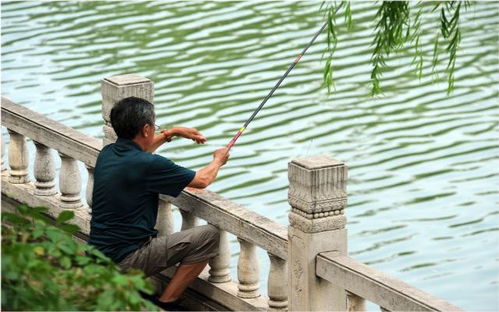 在長江釣魚真要 互相傷害 武漢垂釣規(guī)范來了,疏比堵更管用