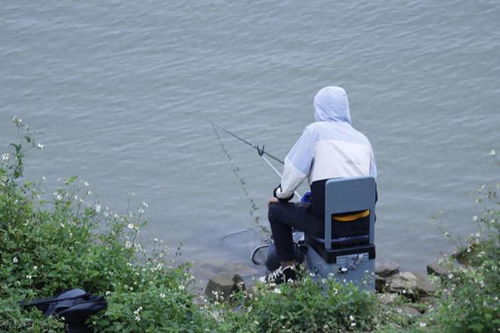 兩男子用活泥鰍釣魚被判刑,老 手藝 不能用了