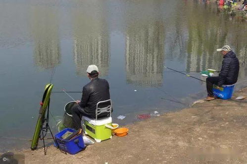 魚竿垂釣剩下的餌料直接就扔了 談談老釣友是如何處理的