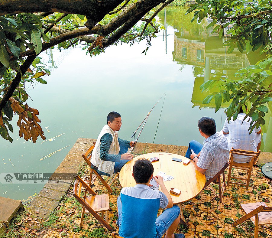 高清:美麗廣西·生態(tài)鄉(xiāng)村