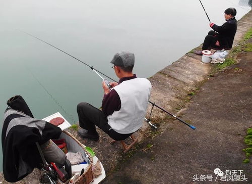 釣魚愛好者在長江支流垂釣,老奶奶40分鐘釣起13條魚