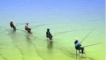 釣魚跟不釣魚的人竟然差別什么這么大