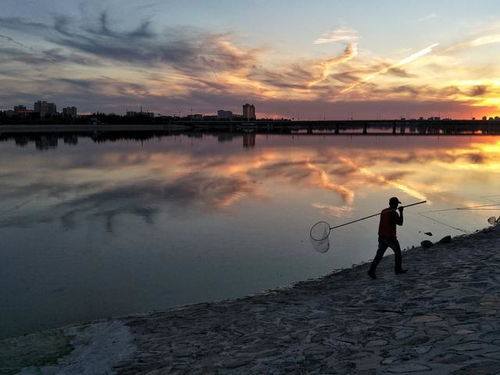 夕陽 河岸 垂釣