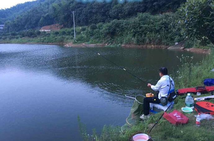 夏末初秋水庫釣魚餌料的調整方法