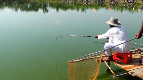 釣魚 庫底的老魚被釣上來了,力氣那叫一個大呀