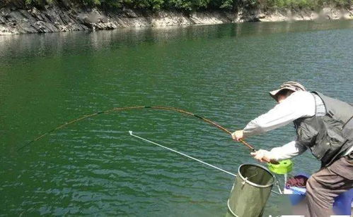 遛魚的七個注意事項,釣魚更有把握