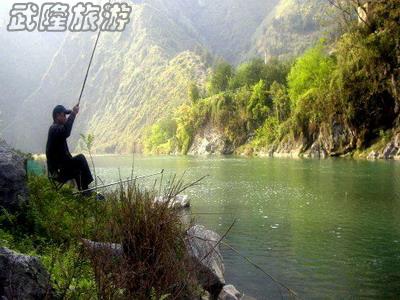 野外釣魚秘籍