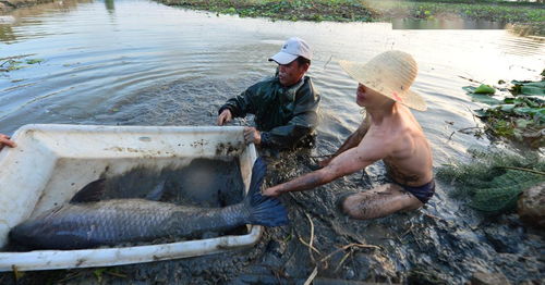 快看 這里舉辦了釣魚比賽......