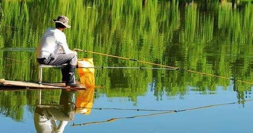 連馬云都愛釣魚了 釣魚的好處你不懂