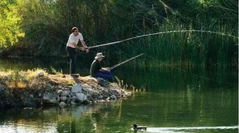 懂得魚星垂釣的訣竅 追魚星釣魚就會很簡單