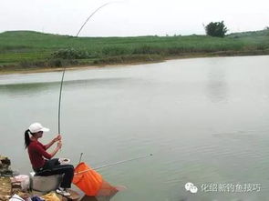 這樣釣魚,從此不斷竿