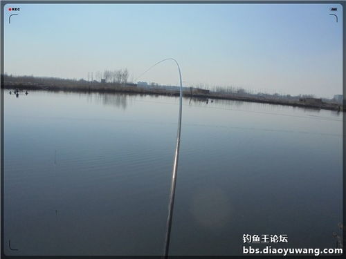 湖北釣魚王漁具公司 圖 垂釣工具哪里有賣 滁州垂釣