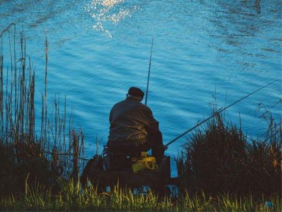 西部觀察 盤點(diǎn)最受釣魚人喜愛的幾種魚