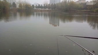 釣魚教學(xué)視頻 –