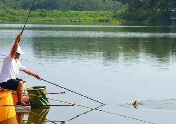 計時收費魚塘垂釣策略,上魚快不吃虧