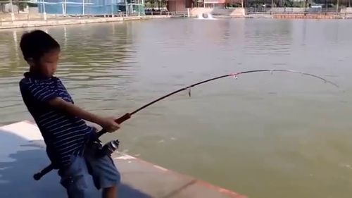 釣魚 小伙釣上一條石斑魚,居然這么的龐大