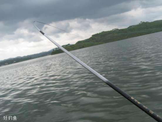 刮什么風不好釣魚 風天釣魚有利有弊