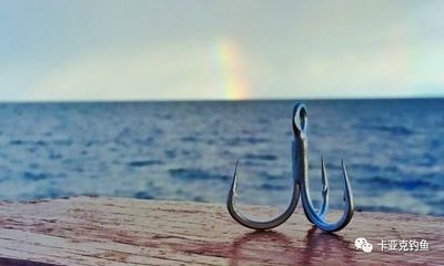 Mustad 助力 2019龍山湖國際舟釣錦標賽,優質裝備等你拿!