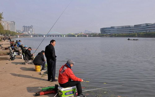震撼 400人 垂釣大軍 空降德陽(yáng)綿遠(yuǎn)河,現(xiàn)場(chǎng)人擠人竿靠竿