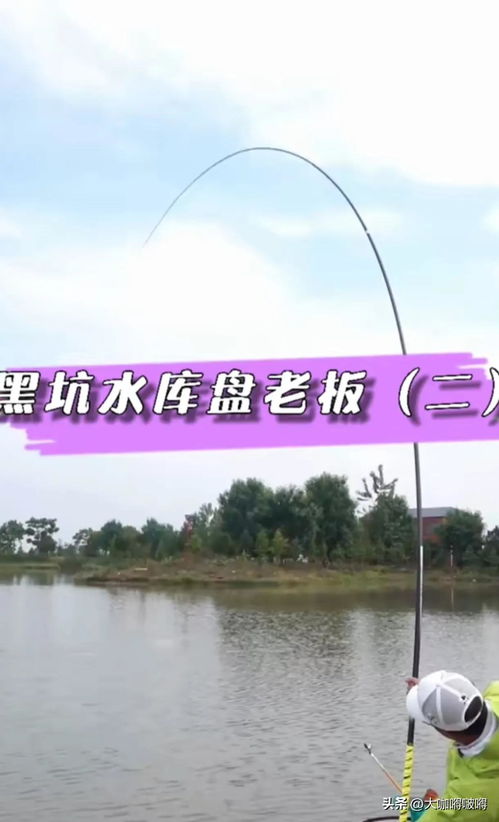 天元鄧剛為什么到沙洋搞釣魚(yú) 今日頭條