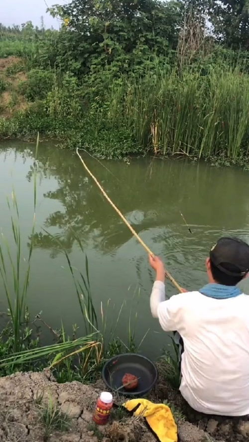 釣魚(yú)人就是這么瘋狂