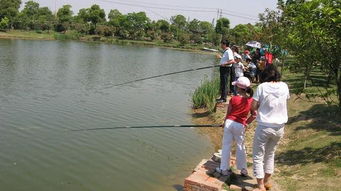 隔壁老王說(shuō) 不要再黑我了,上周我只是出去釣魚(yú)了