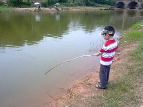 水太淺怎么釣魚(yú)