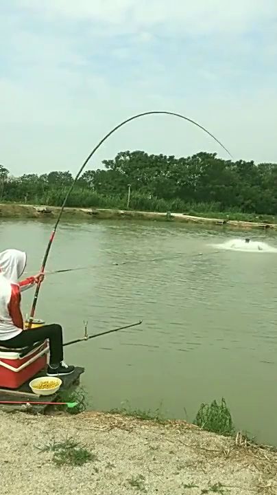男子戶外釣魚,突然收獲大魚,起竿的姿勢太霸氣了