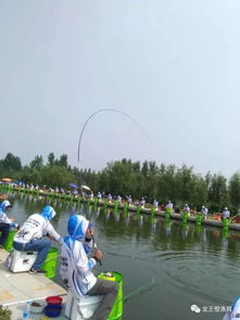 236名高手齊聚東平湖決高下,第八屆龍王恨 中原鯉杯全國釣魚大獎賽山東東平分站賽成功舉辦