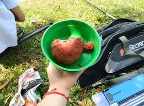 為什么釣魚人喜歡把幾種商品餌配合使用 如同中藥方子一樣