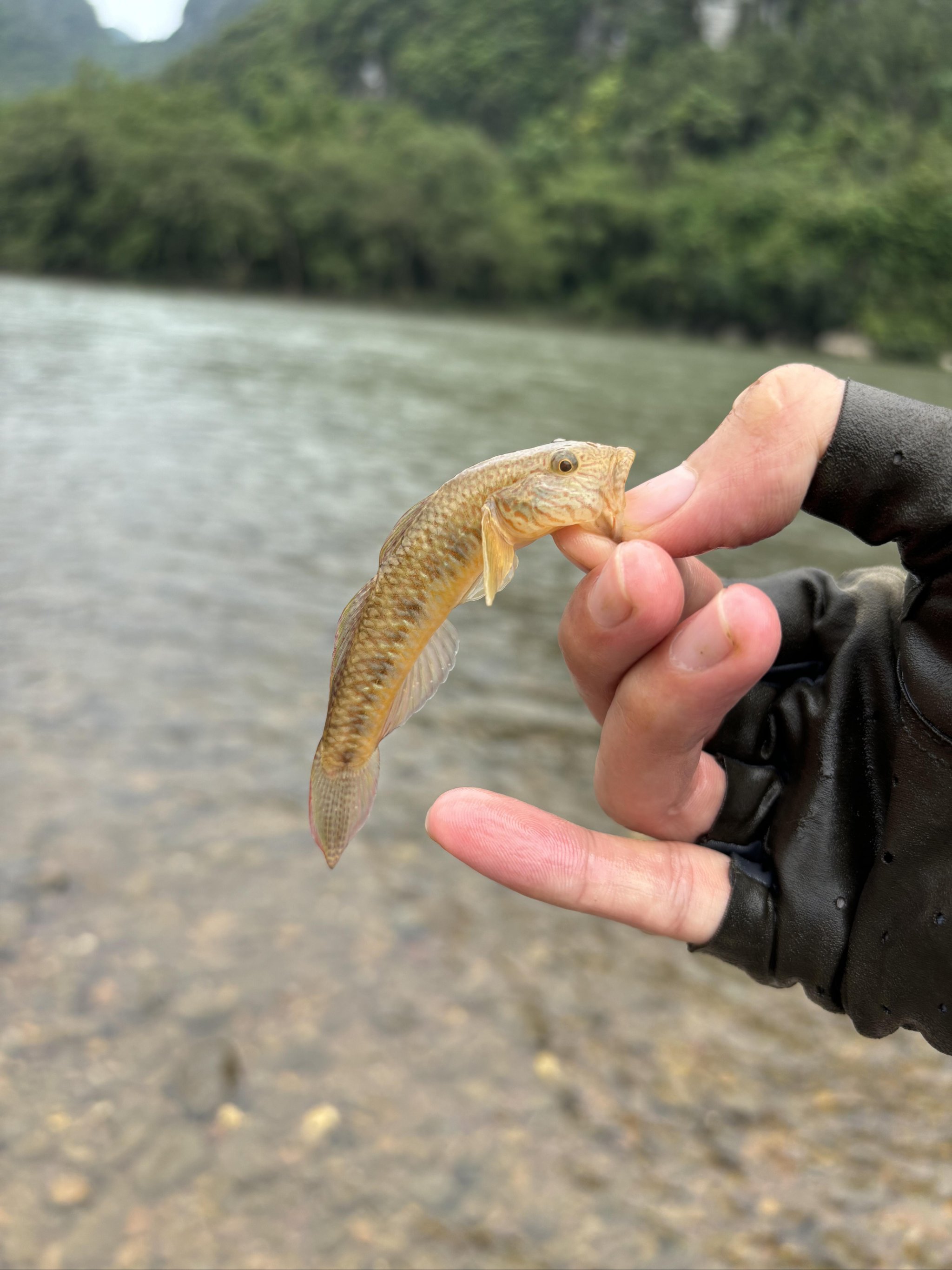 徒步去戶外垂釣