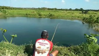 快樂垂釣365的個人頻道