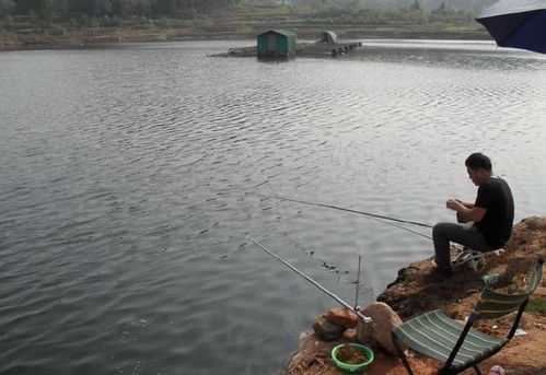 怎樣在大風中釣魚,釣具配置跟餌料搭配都是關鍵