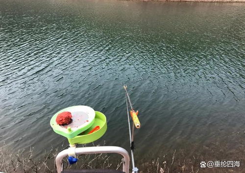 鯽魚越釣越小 問題不全在餌料,魚鉤挪動一下,大板鯽更容易上鉤