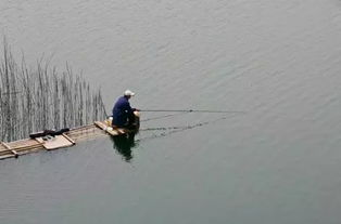 公眾平臺 2017徐州人的最佳旅行時間表 收好備查