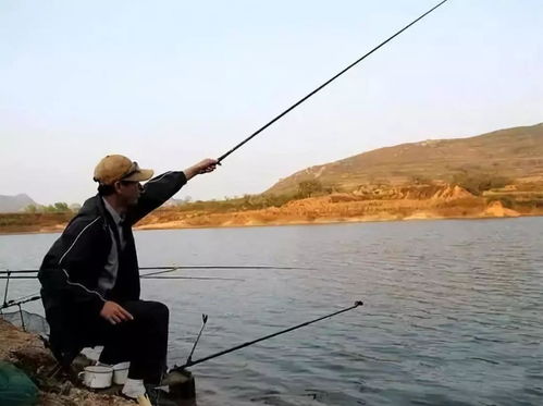 冬天釣魚沒上幾條就停口 野釣的第一大難題,這樣解決才有效