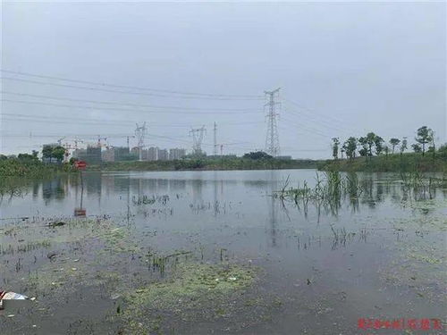 官蓮湖釣友車胎被扎警方連夜破案,水產公司呼吁請勿垂釣