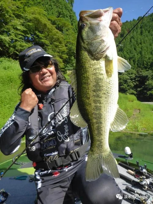 垂釣 技巧丨菊元俊文q a 第一次來新釣點的小秘訣