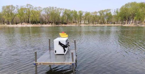 真正會釣魚的才喜歡釣白條 看他是不是垂釣高手釣會白條就知道了