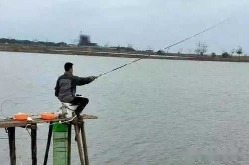 請做好心理準備 這鯽魚釣法百試不爽,莫不服,我一個星期用三次